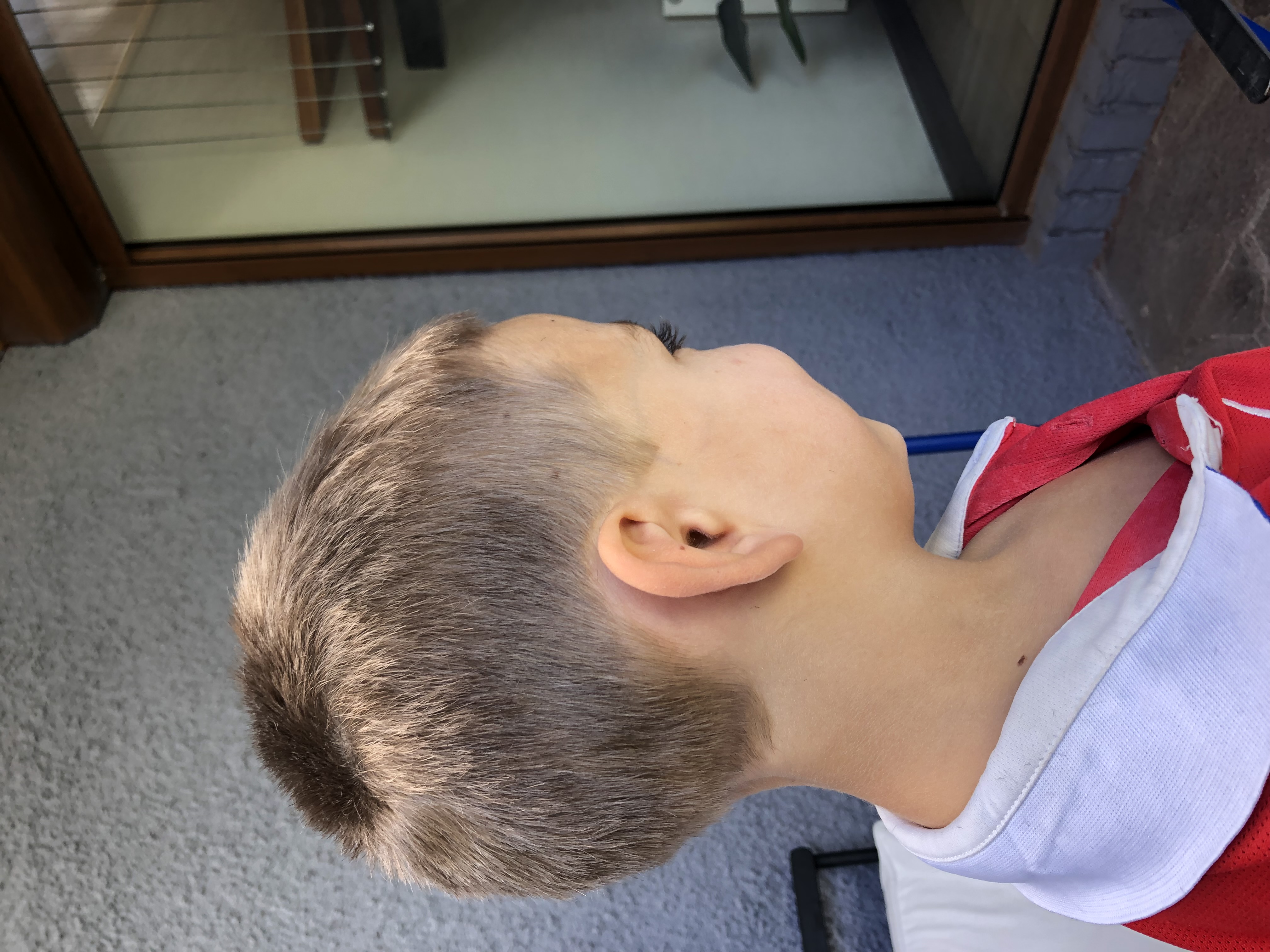 Detalle de un corte de pelo corto visto de lado.